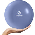 9 Inch Small Exercise Ball for between Knees, Mini Soft Yoga Ball for Stability, Barre, Fitness, Ab, Core, Physio and Physical Therapy Ball (Indigo)