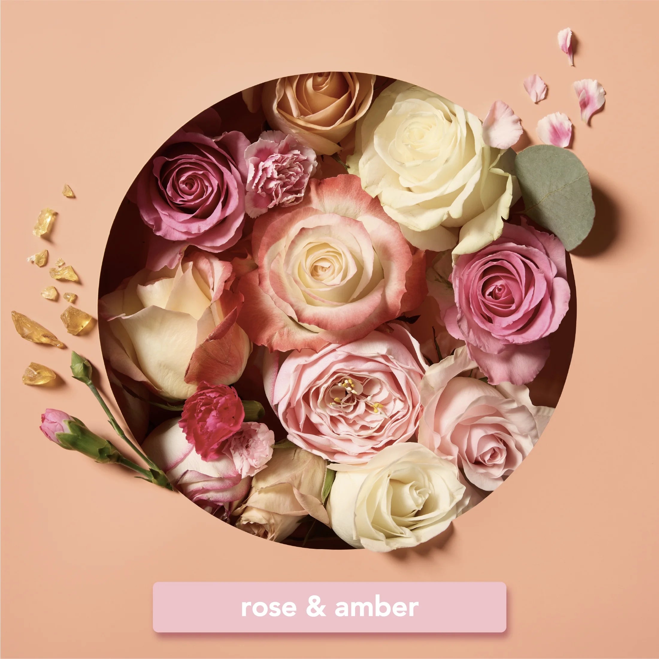 Foaming Body Scrub with Shea Butter & Primrose Oil, Rose Petals, 16 Fl Oz