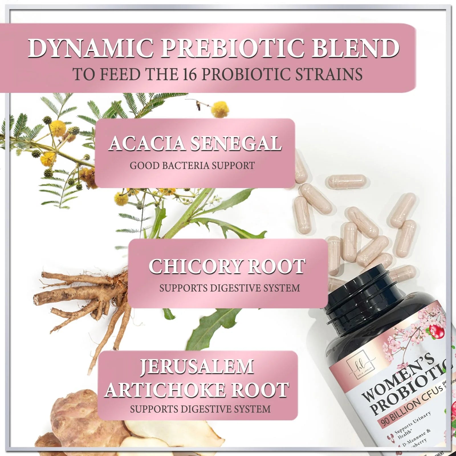 Probiotics for Women Digestive Health Support - 90 Billion CFU Women'S Probiotic, 16 Strains, Cranberry, Vaginal Probiotic with Prebiotics, PH, Immune, Urinary, & Feminine Health Support, 60 Capsules