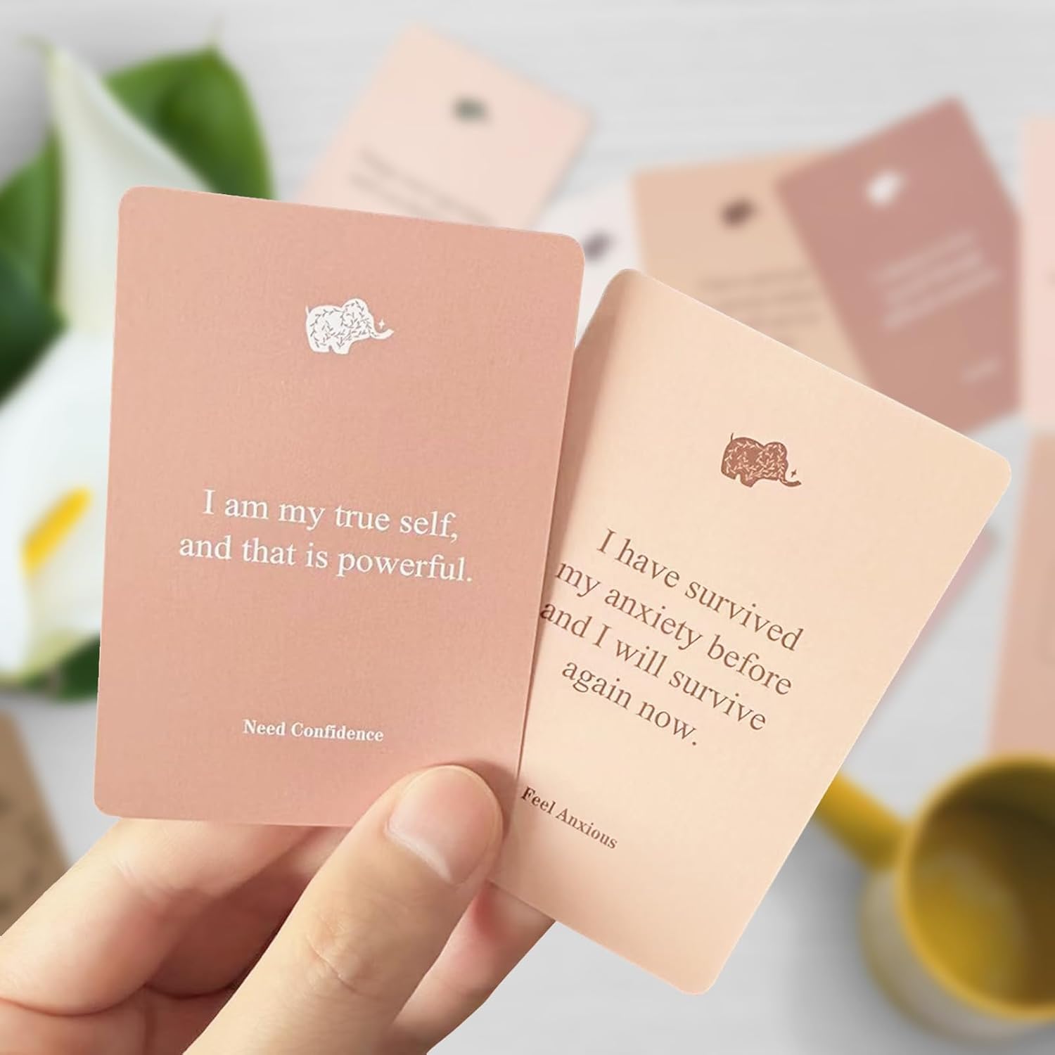 Affirmation Cards for Women, 120 Positive Affirmation Cards (6 Themes), Daily Affirmations for Inspiration, Mindfulness & Self Care, Uplifting Gift for Women