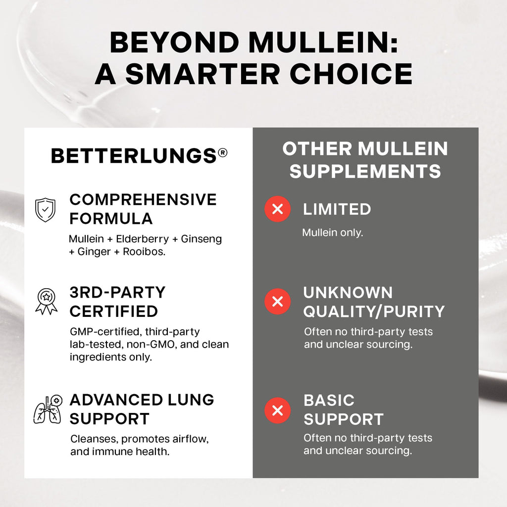 Betterbrand Mullein Tea Bags for Lung Detox - Respiratory Support with Thyme, Elderberry, Ginseng, Ginger, Caffeine Free Herbal Blend - 15 Tea Bags (Pack of 1)