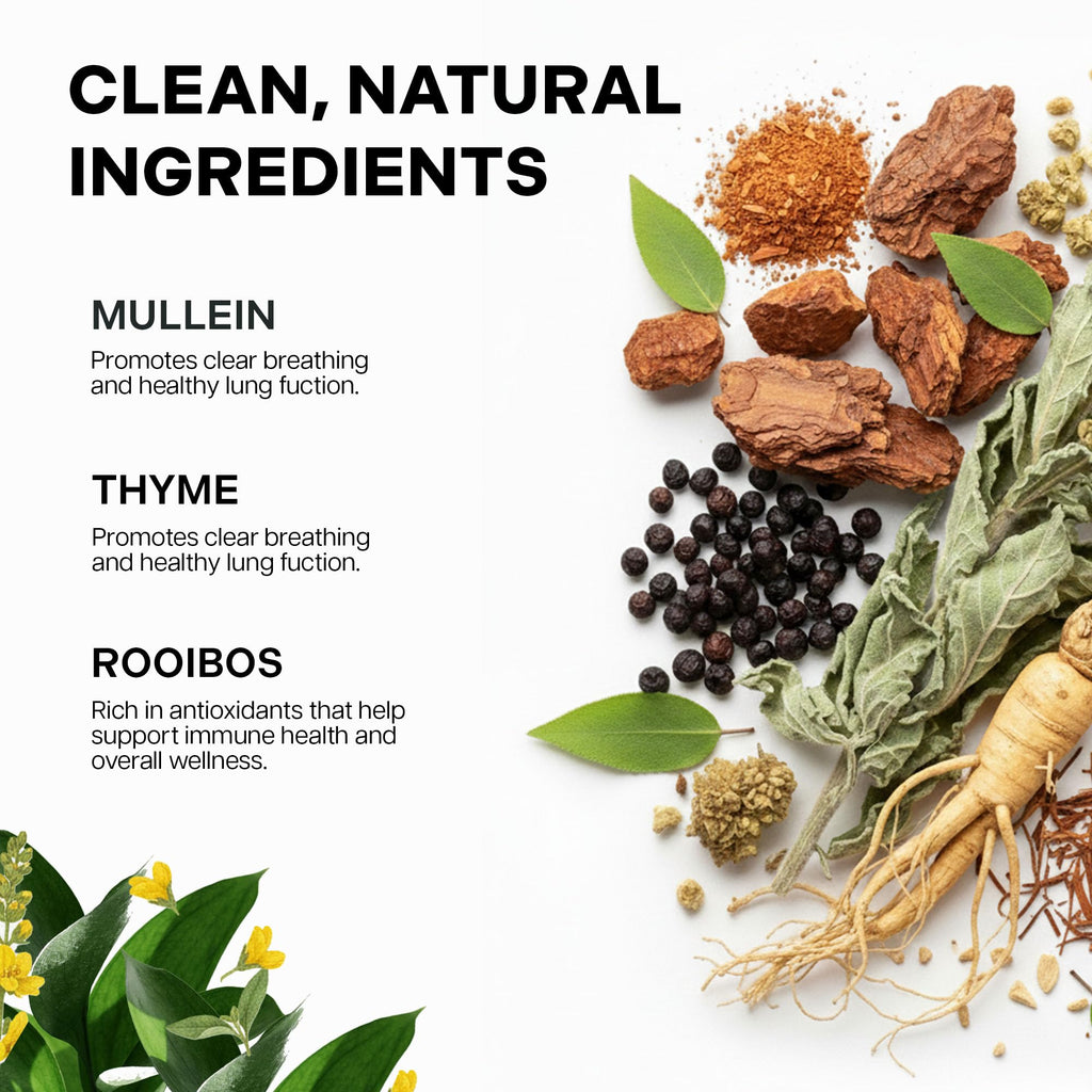 Betterbrand Mullein Tea Bags for Lung Detox - Respiratory Support with Thyme, Elderberry, Ginseng, Ginger, Caffeine Free Herbal Blend - 15 Tea Bags (Pack of 1)