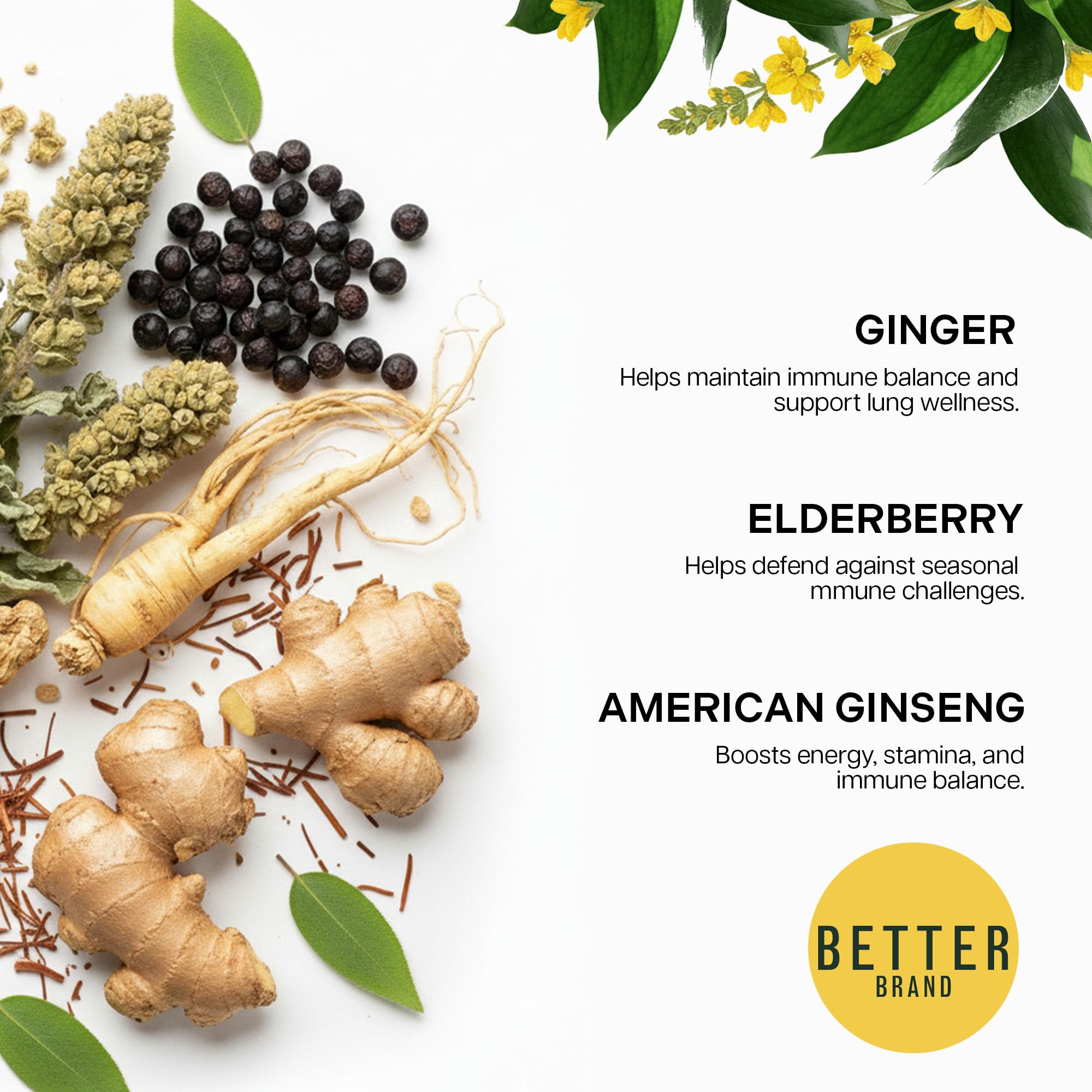 Betterbrand Mullein Tea Bags for Lung Detox - Respiratory Support with Thyme, Elderberry, Ginseng, Ginger, Caffeine Free Herbal Blend - 15 Tea Bags (Pack of 1)