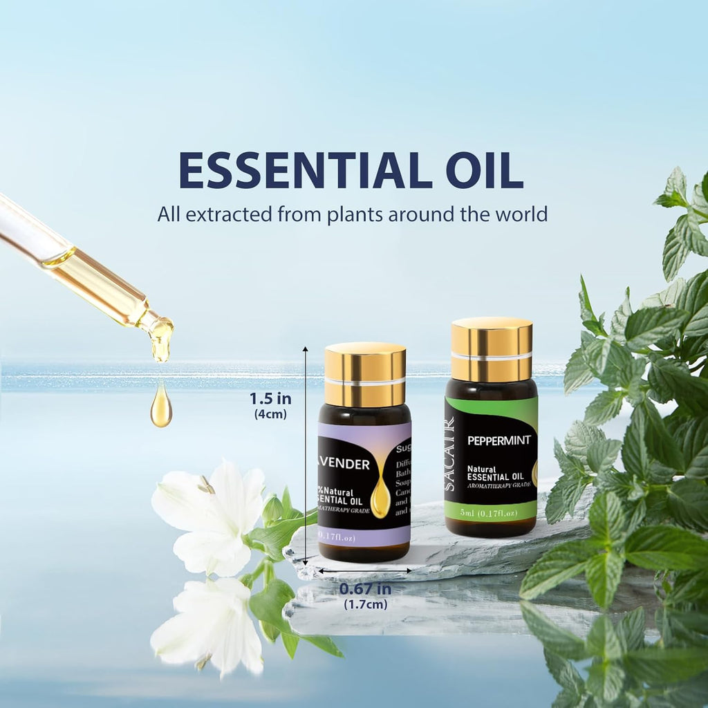 Essential Oils by  Natural Essential Oil Set -12 Essential Oils Gift Set for Diffuser, Massage, Fragrance Oil Scent for DIY Candle and Soap Making (12 * 5ML)