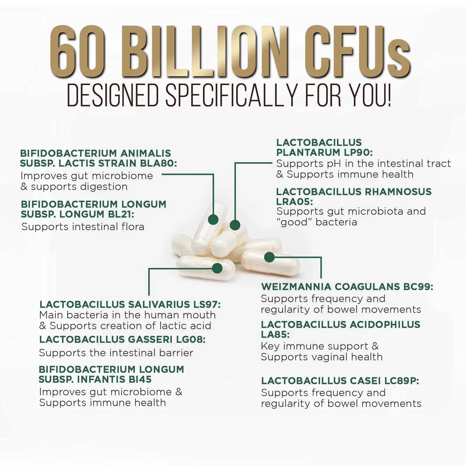 Probiotics 60 Billion CFU + 10 Strains - Daily Probiotic Lactobacillus Blend for Immune, Digestive & Gut Health Support, Prebiotics and Probiotics, Gas & Bloating for Women & Men - 120 Capsules