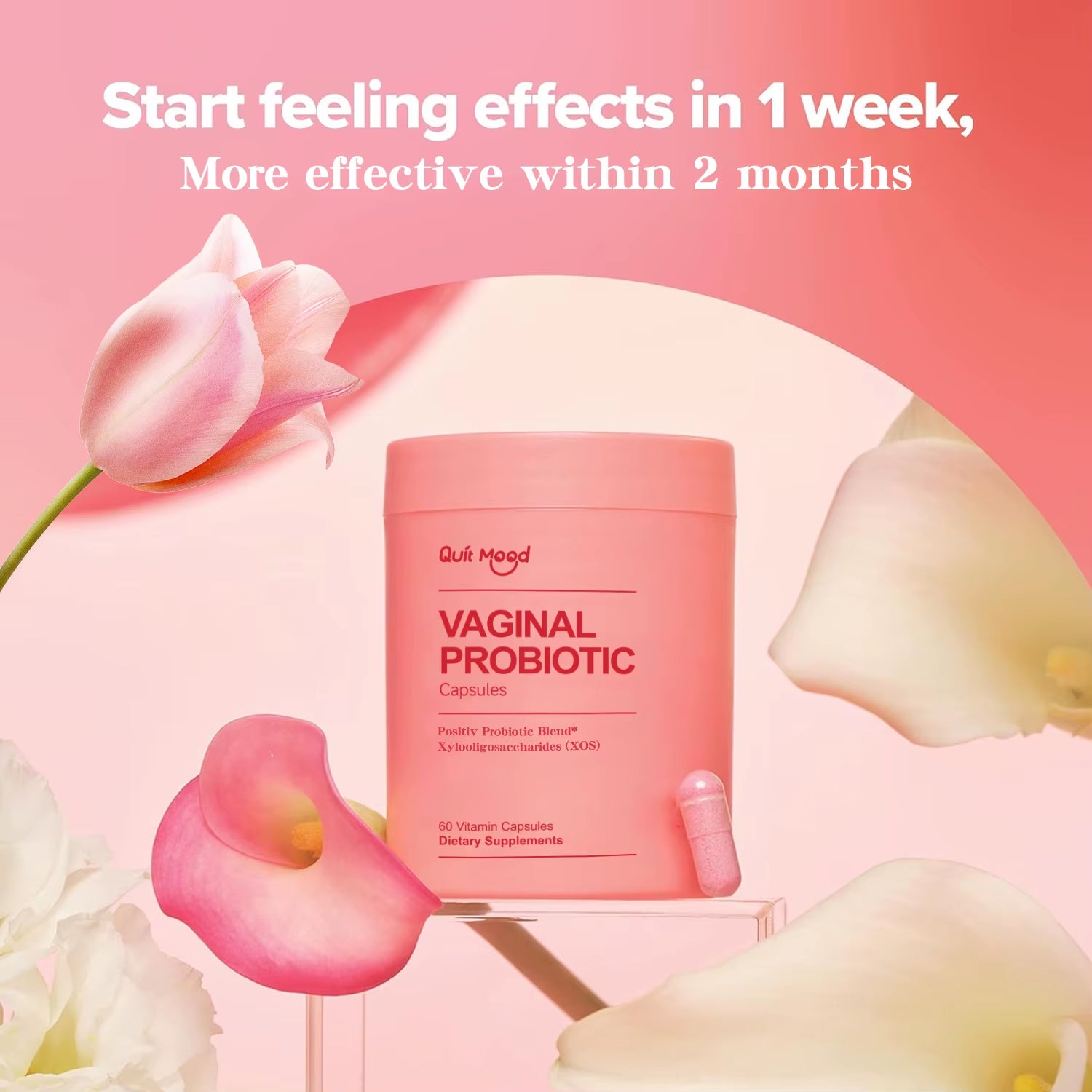 Probiotics for Women PH Balance with Probiotics and Lactobacillus Probiotic Blend - Women'S Health Supplement